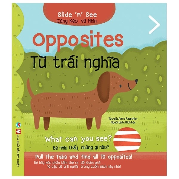 Slide And See - Từ Trái Nghĩa